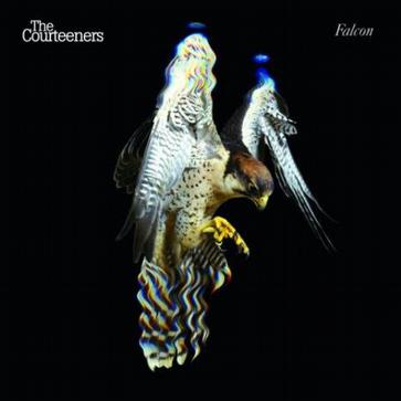 ★·Falcon2010-The Courteeners