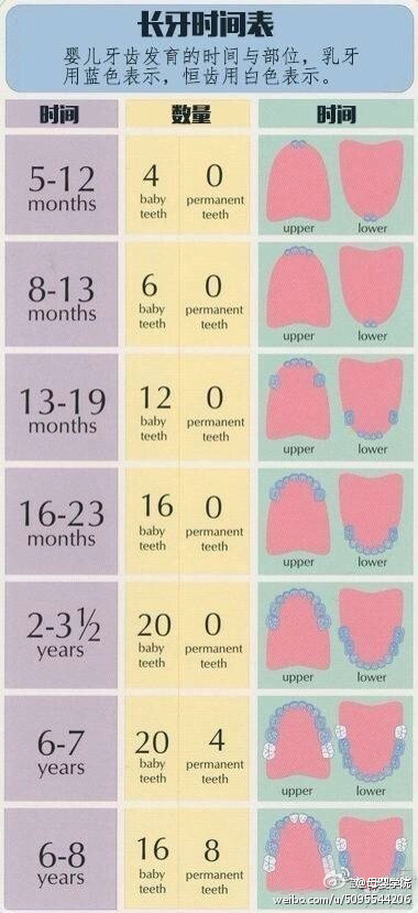 宝宝长牙时间表，快来了解下吧