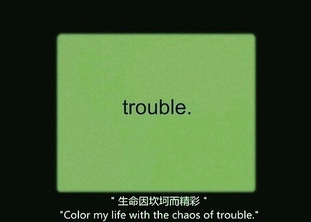 生命因坎坷而精彩 color my life with the chaos of trouble