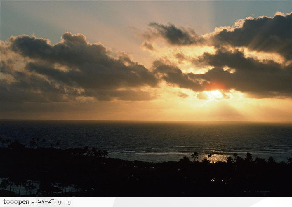 夕阳下的海洋与椰树林