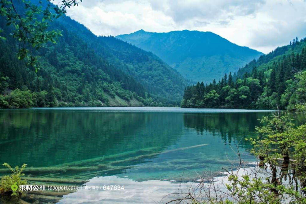 四川九寨箭竹海美景高清图片素材