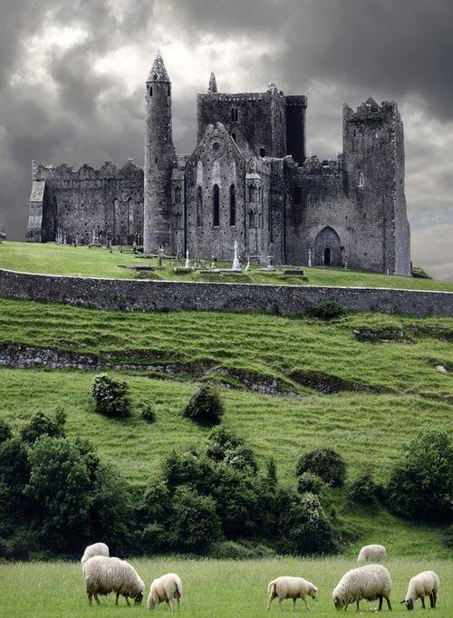 Medieval Castle, Cashel, Irelan 中世纪的城堡，卡舍尔，爱尔兰