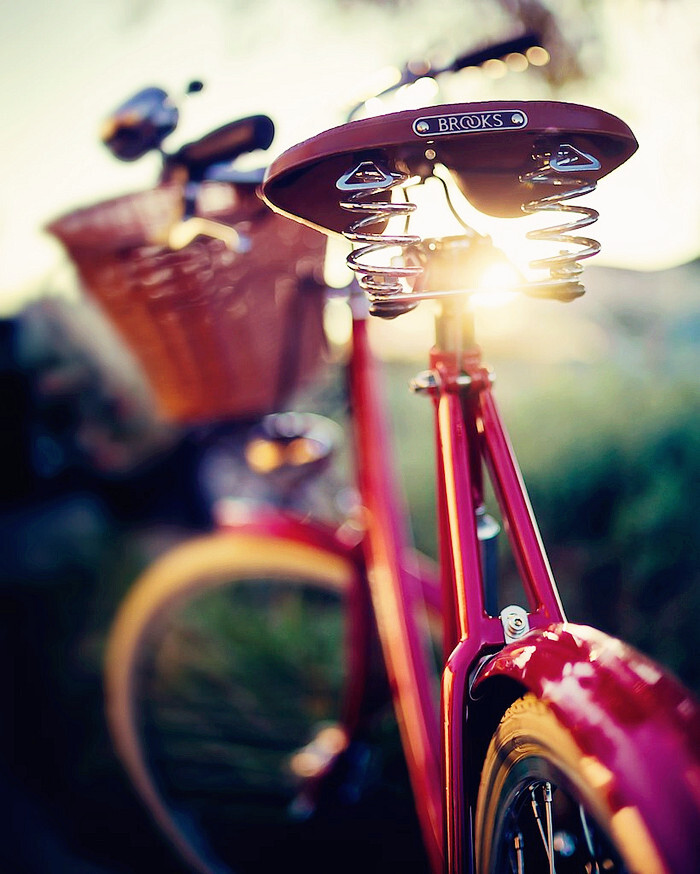 骑上单车，伴着阳光，一路前行。