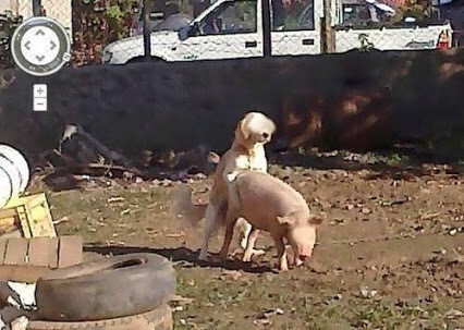 谷歌地图，业界良心，还是很注重隐私的。。。