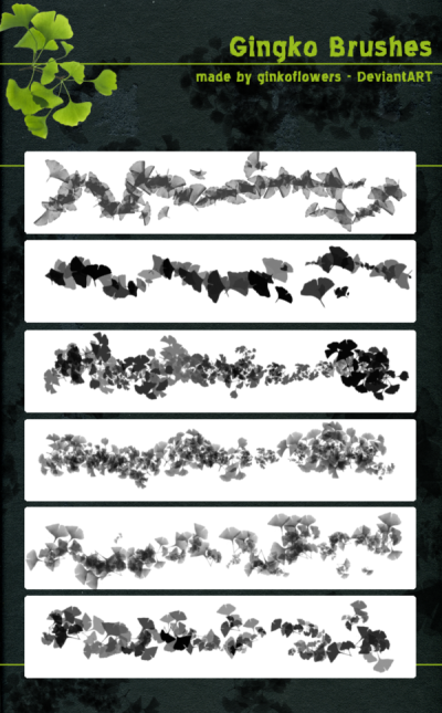 银杏树叶笔刷 树叶笔刷 plants brushes 下载地址为： 下载地址为： 下载地址为： 下载地址为： 下载地址为：http://brushes8.com/36430.html