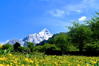 7月出游四姑娘山，重庆旅行社www.ytszg.com，长坪沟