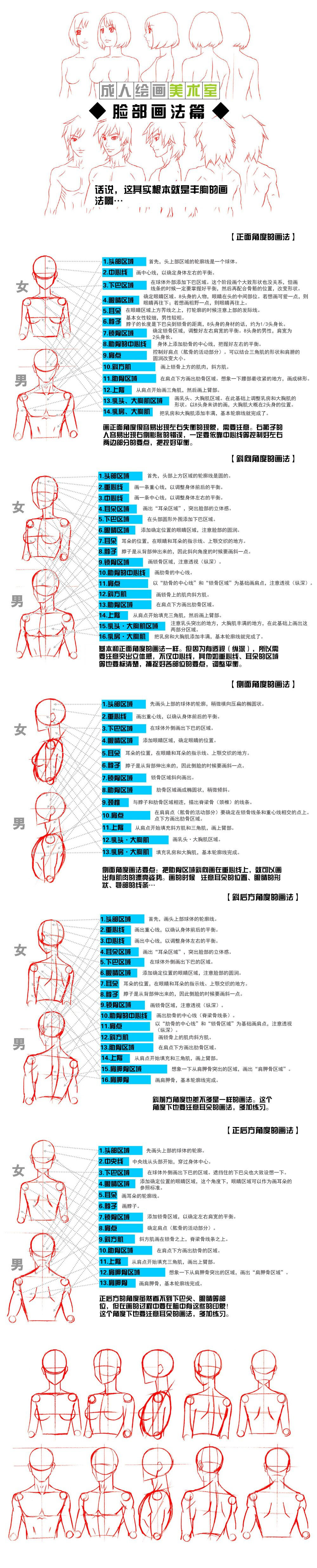 人体上身画法教程