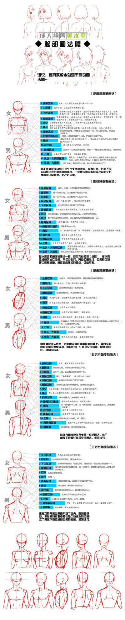 人体上身画法教程