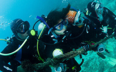 涛岛Roctopus Dive潜水学校沉船专长潜水体验