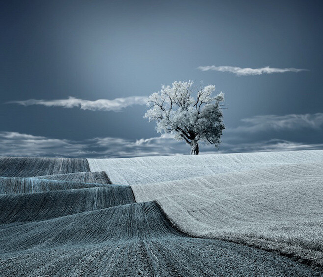 蓝色世界（ Caras Ionut）