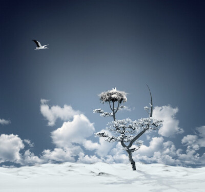 蓝色世界（ Caras Ionut）