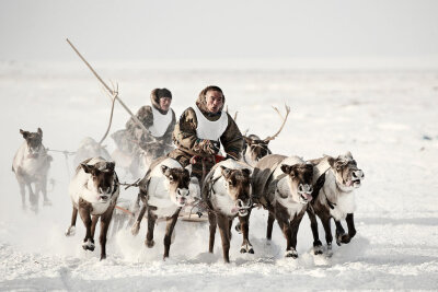涅涅茨人，俄罗斯：涅涅茨人是居住在西伯利亚地区北极圈内的游牧民族，驯养麋鹿为生。他们在亚马尔半岛上迁徙，鄂毕河与乌拉尔山在此相遇。这是最不适宜人类居住的地带，气温在冬天降到零下50摄氏度，夏天则升到35摄…