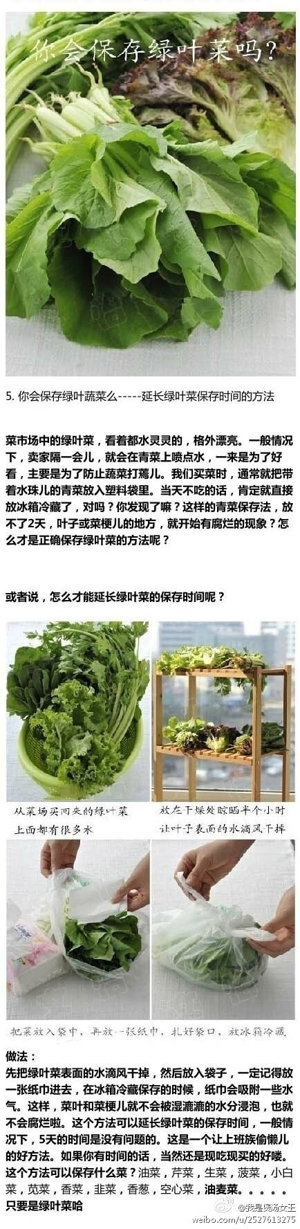 延时保存绿叶菜的方法