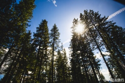 优胜美地，汽车在路上飞驰，窗外是美国公路，和大团的白色云朵。Yosemite，有森林、清泉、山石、彩虹瀑布，溪涧…是一个森林大氧吧，可以真正纯净地呼吸。