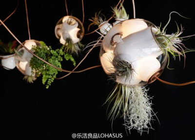 #乐分享# Omer Arbel 为一家餐厅设计了这个灯饰装置。采用特殊技 巧，包括将空气引入/排出发热/冷却的玻璃体。该款纯手工制作的灯饰由大小不一的玻璃球体组成，球体内是精心设计的用于安装灯泡的空腔，根据球体的不…