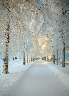 SNOW! It is so beautiful to look at. Really gorgeous, but I don\'t like to be in it for long.