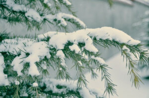 雪的力量