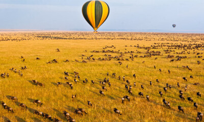 世界上最適合自由行的國家 肯亞馬賽馬拉(Kenya,Masai Mara) 不用擔心獨自旅行很孤單，這裡是肯亞的大型野生動物保護區，動物頻道裡最常出現的場景，建議你六月到十月來可以搭熱氣球看動物大遷徙，可以跟其他獨自來…