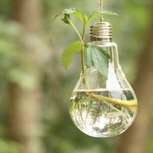 果子家灯型创意灯工玻璃水培花瓶 水晶玻璃吊瓶 悬挂式花瓶