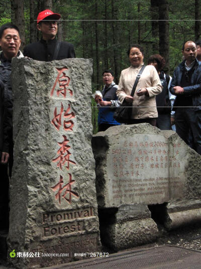 四川旅游风景九寨沟原始森林高清摄影图片素材