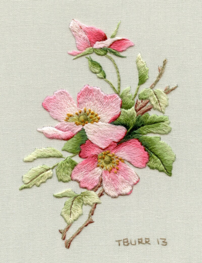 Embroidery Kit Briar...