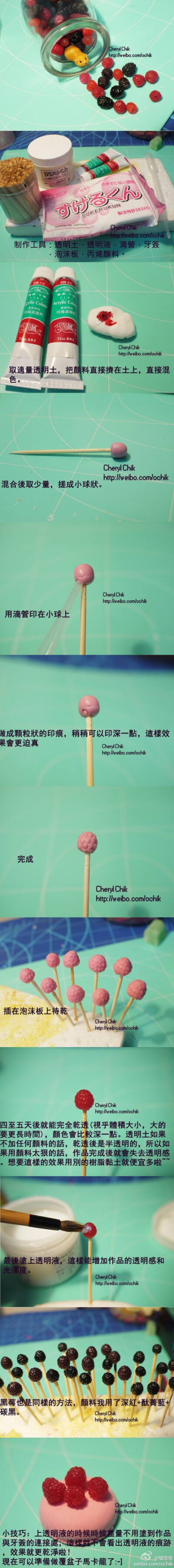 覆盆子制作教程