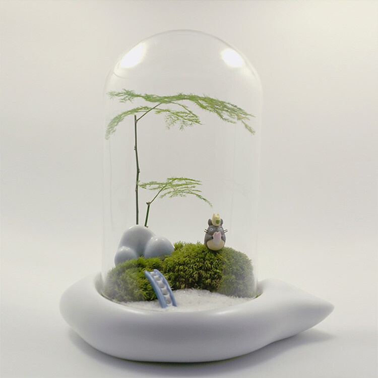苔藓物语云谁之思 DIY苔藓微景观 桌宠生态瓶 创意绿植 龙猫苔藓