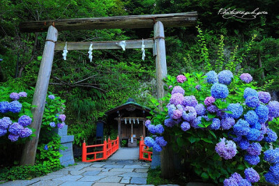 神社