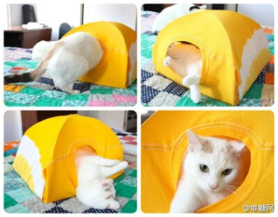 #手工课堂#只要三样材料，废物利用做成超实用“猫帐篷”。不但可以随着心情更换猫屋颜色，而且清理猫毛尤其方便，狭小的空间也会让喵星人爱不挪窝！也给你们家的宠物做一个窝吧。&amp;gt;&amp;gt;&amp;gt;http://t.c…