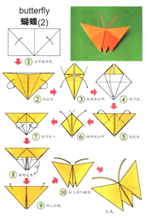 小蝴蝶