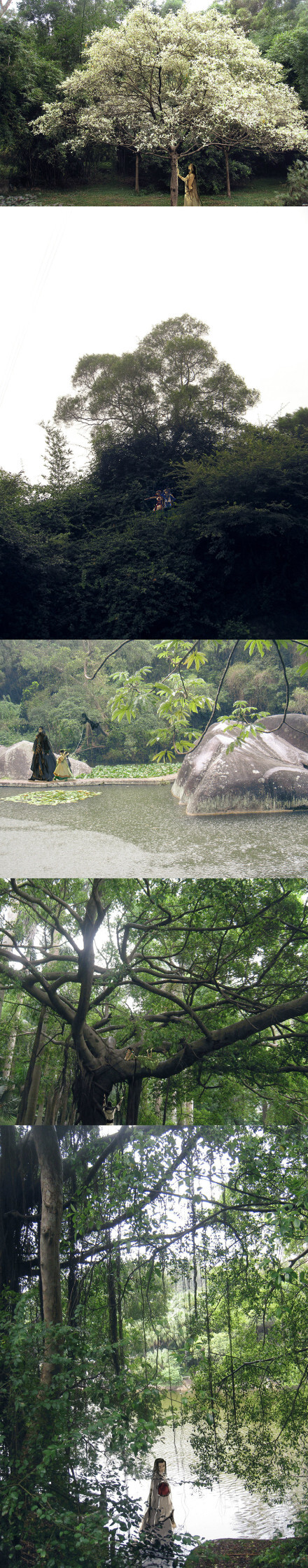 今天的日记：早上七点多就去爬植物园，赶在下雨之前拍了不少故人呢……在南普陀寺差点把相机丢了- -。作者：伊吹五月