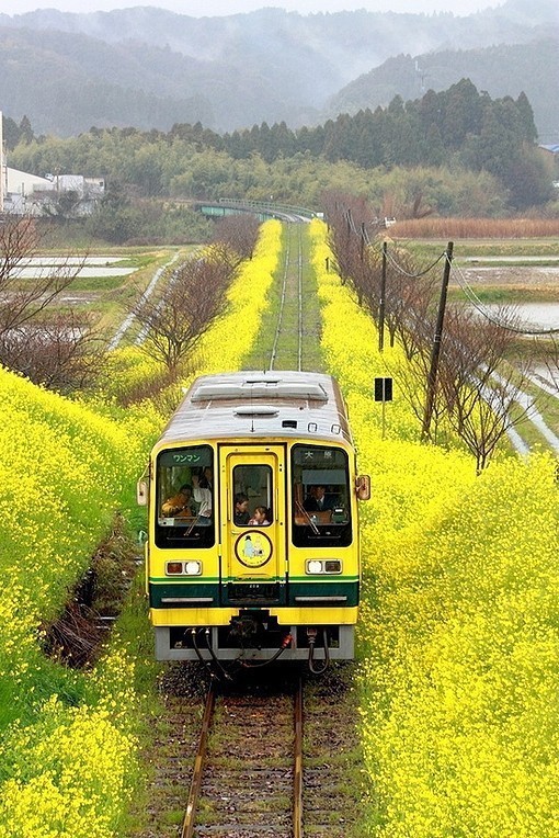 怕什么路途遥远。走一步有一步的风景，进一...