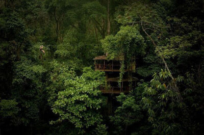 在哥斯达黎加的热带雨林里,隐藏着一幢幢名叫Finca Bellavista造型别致的小木屋。它们栖身在高大的树木枝干上,被浓荫遮蔽。有门有窗还家具齐全，就像是雨林里的精灵们的住所。这一片树屋里有常住居民，也招待游客，就…