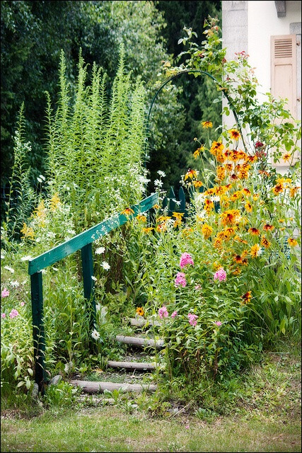 cottage garden