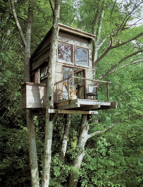 Tree house!