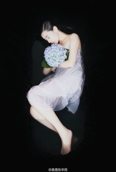 夏｜婵娟 张辛苑