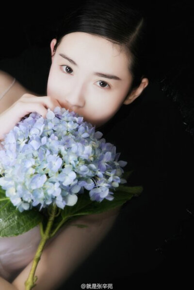 夏｜婵娟 张辛苑