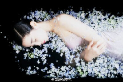 夏｜婵娟 张辛苑