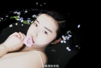 夏｜婵娟 张辛苑