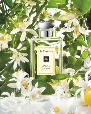 Jo Malone? Orange Blossom Collection_0 $40-$120