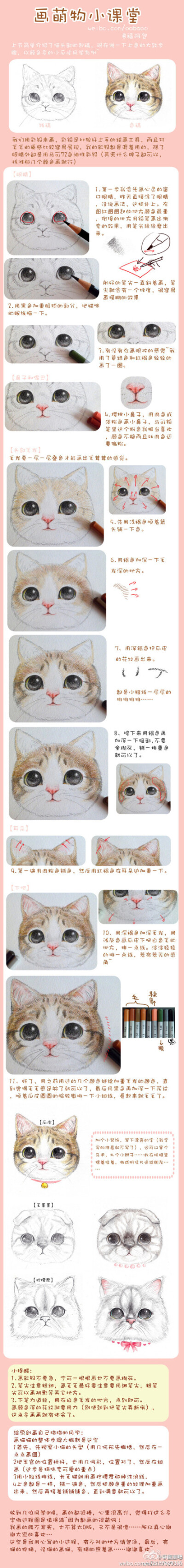 萌物小课堂——彩铅画猫步骤图～via:福阿包