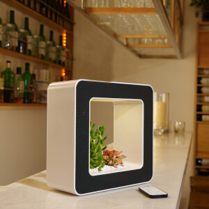 创意礼物 音乐花园无线蓝牙播放器 男友老公元领导五一节公司礼品