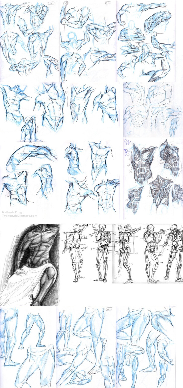 Anatomy Dump 2 by *Tyshea on deviantART