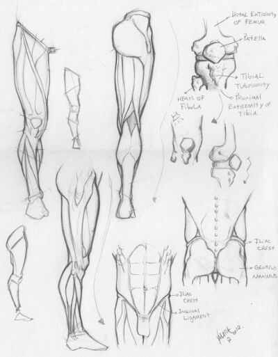 Random anatomy sketches 4 by RV1994.deviantart.com on @deviantART