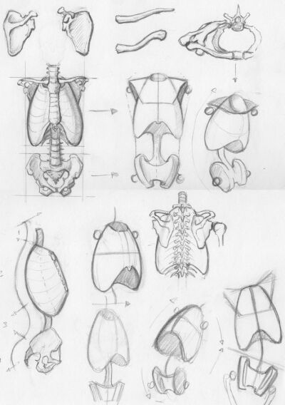 Random anatomy sketches 2 by *RV1994 on deviantART. join us http://pinterest.com/koztar