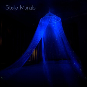 Glow in the Dark Stella Star Canopy 星空蚊帐的图片