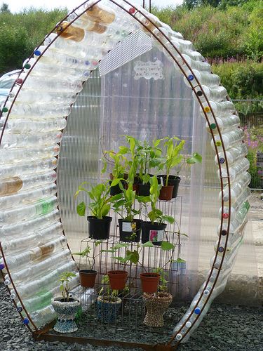 DIY #Recycled Plastic Bottle Greenhouse 牛人用饮料瓶造的迷你温室