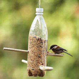 Bird feeder