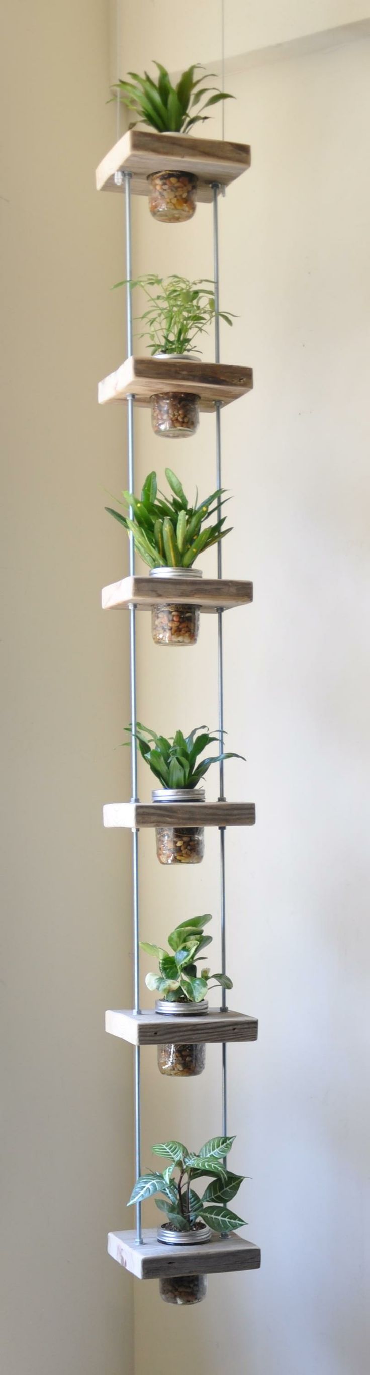 DIY vertical garden for herbs in the kitchen