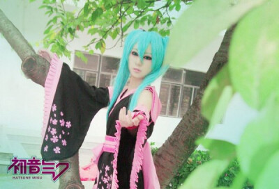 樱花初音Cosplay《最妖艳的MIKU》欣赏